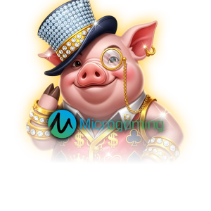 마이크로게이밍 카지노